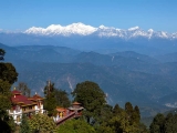 gallery_darjeeling_1