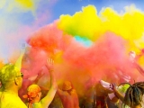 gallery_holi_2