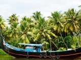 gallery_kumarakom_1