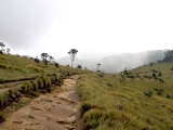 nuwara_2