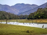 gallery_periyar_2