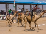 gallery_pushkar_fair_3