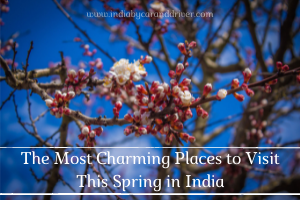 The Most Charming Places to Visit This Spring in India