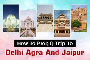  How to plan a trip to Delhi Agra and Jaipur