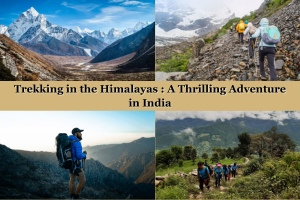 Trekking in the Himalayas: A Thrilling Adventure in India