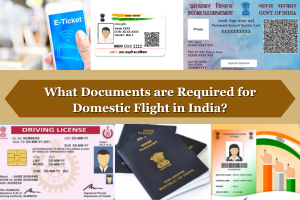 What Documents are Required for Domestic Flight in India?