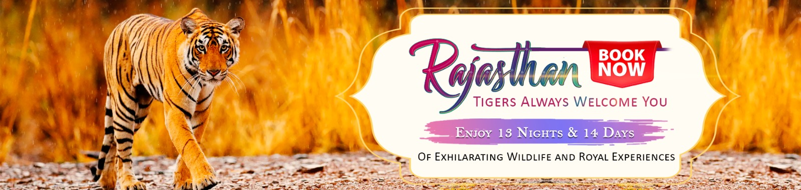 Golden Triangle Tours