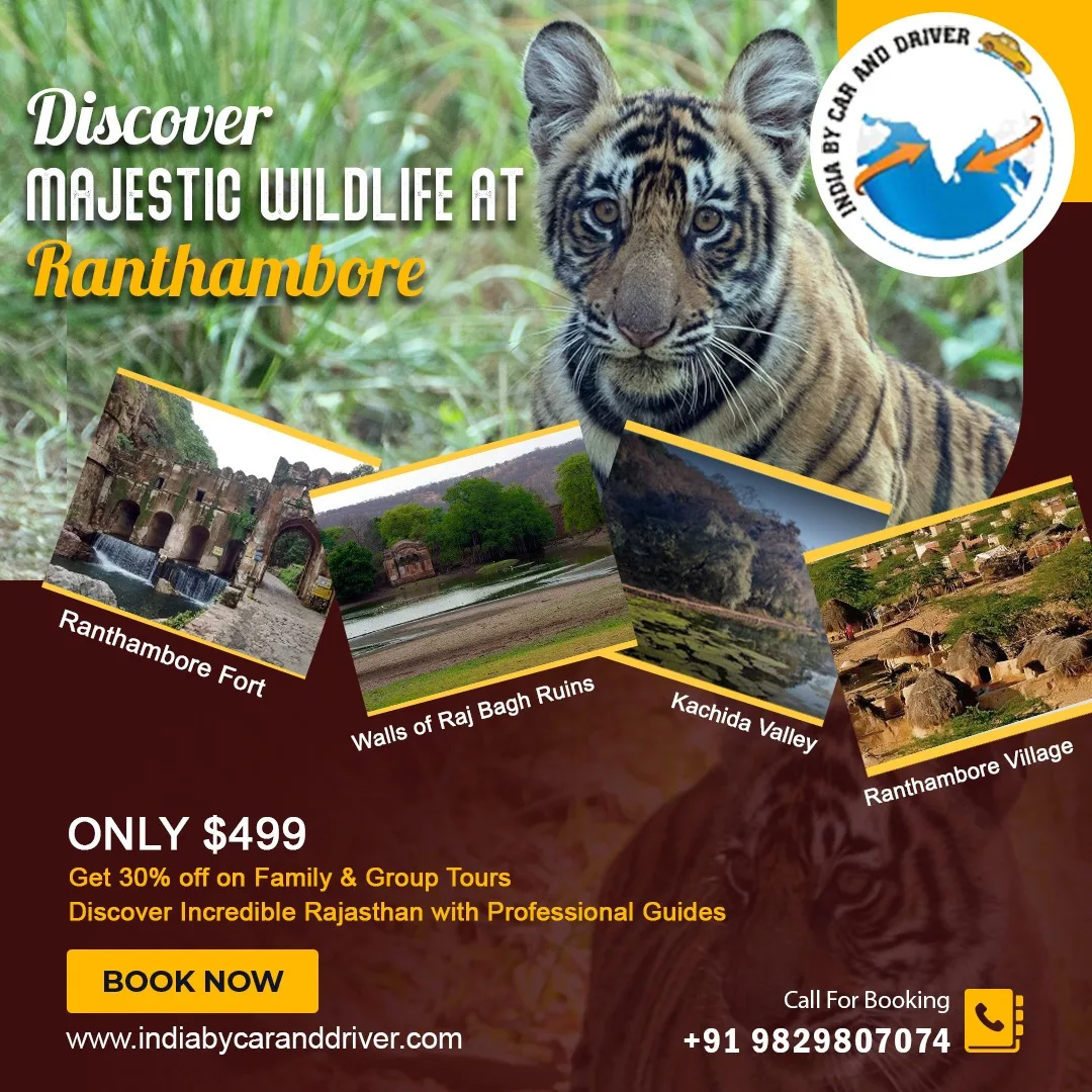 Ranthambore Wildlife Tour Packages