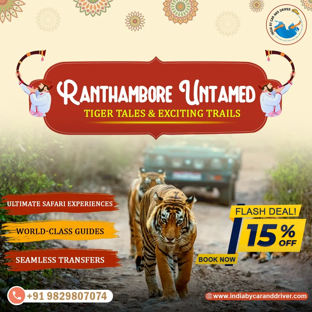 Why Should You Choose Ranthambore Tour Packages over Other Safaris?