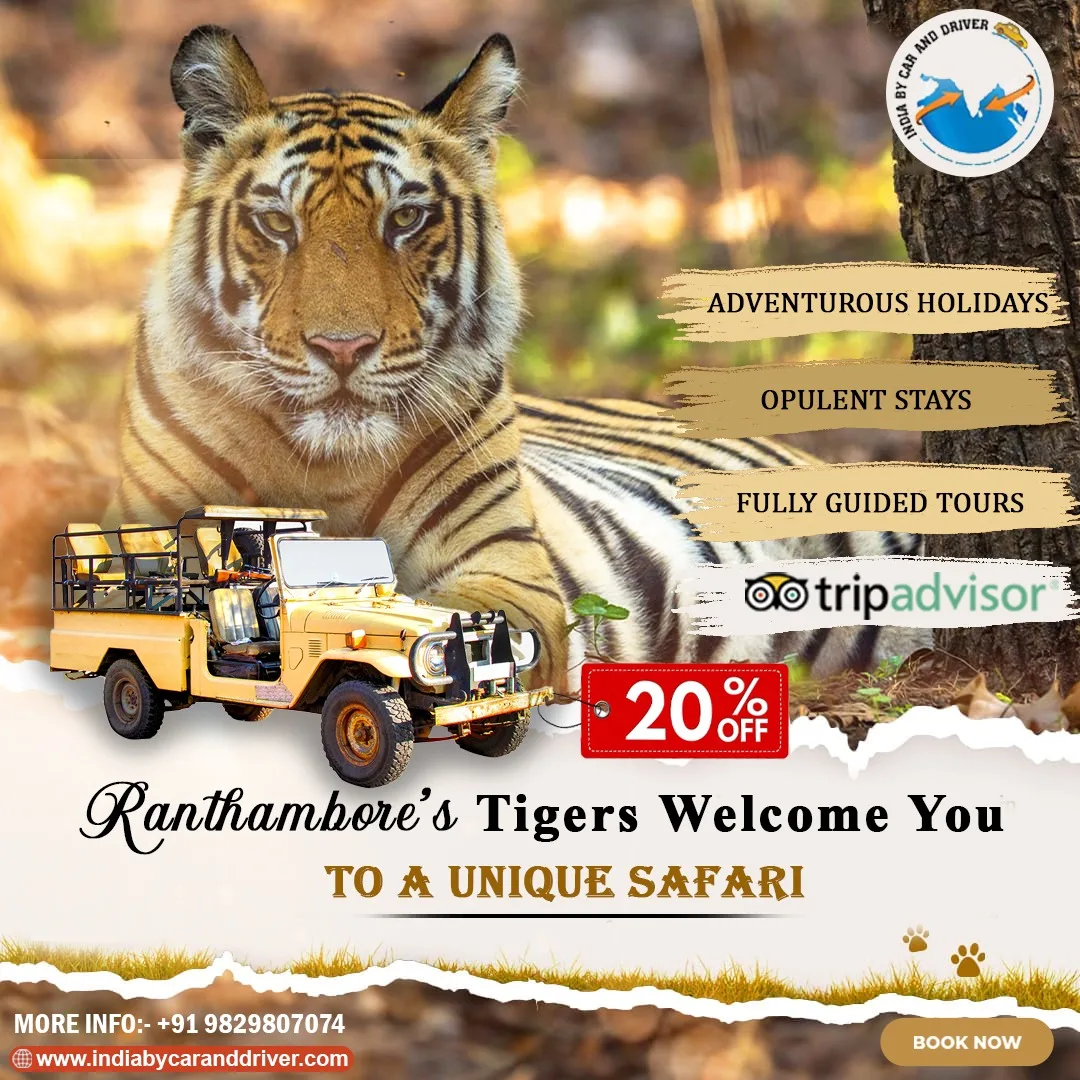 Enjoy an Incredible Ranthambore Safari with India Tour Packages