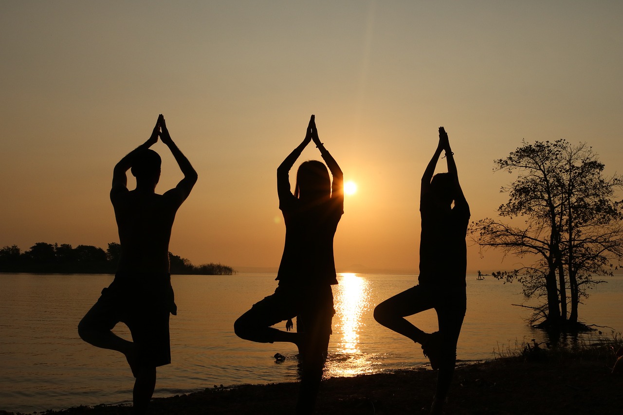 India Yoga Tours