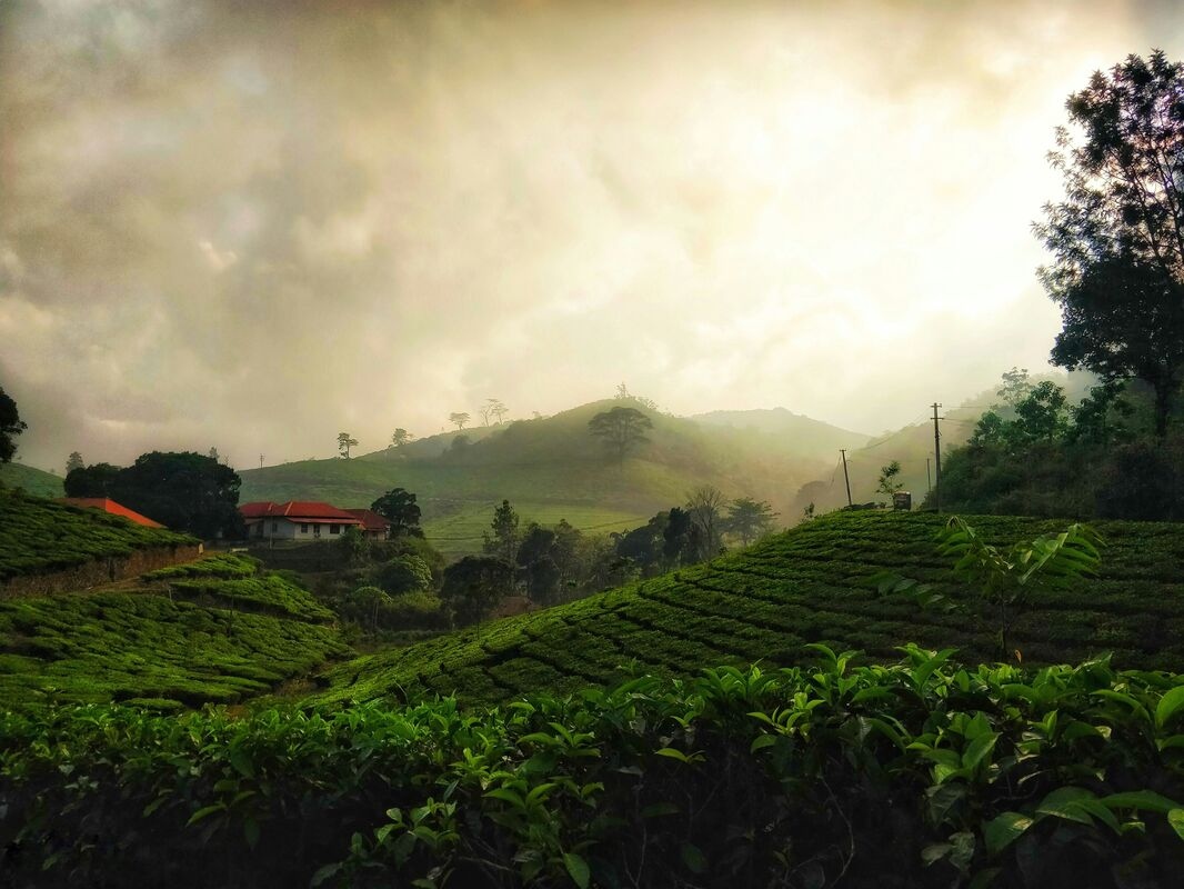 Kerala tour Packages